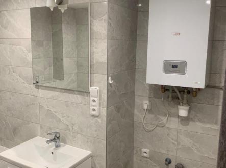 10.jpg | Pronájem bytu, 2+1, 60 m²