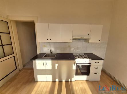 1000013021.jpg | Pronájem bytu, 1+kk, 29 m²