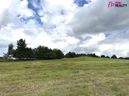 Prodej - pozemek, trvalý travní porost, 16 663 m²