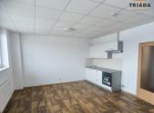 Pronájem bytu, 1+kk, 34 m²