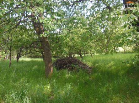 Prodej - pozemek, zahrada, 861 m²
