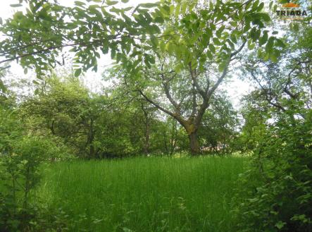 Prodej - pozemek, zahrada, 861 m²