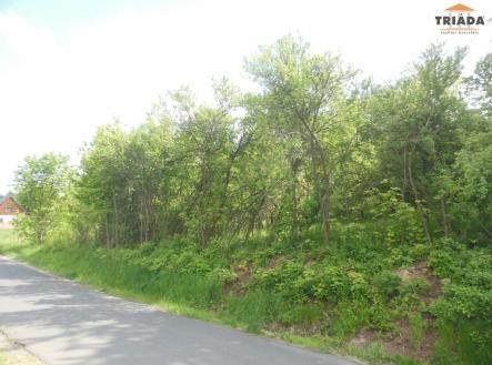 Prodej - pozemek, zahrada, 861 m²
