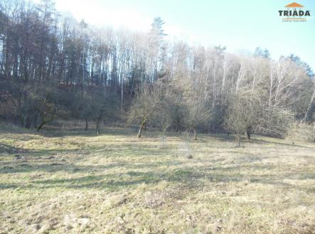 Prodej - pozemek pro bydlení, 3 738 m²