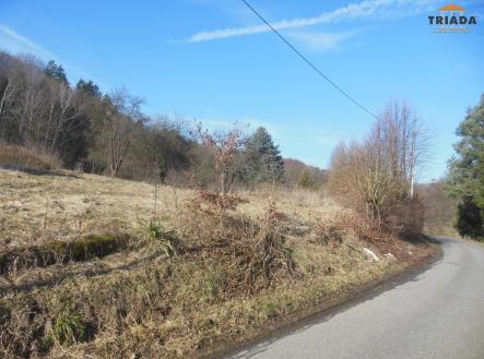 Prodej - pozemek pro bydlení, 3 738 m²