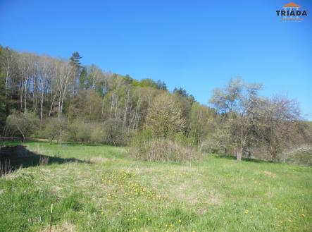 Prodej - pozemek pro bydlení, 3 738 m²