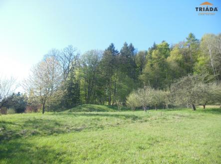 Prodej - pozemek pro bydlení, 3 738 m²