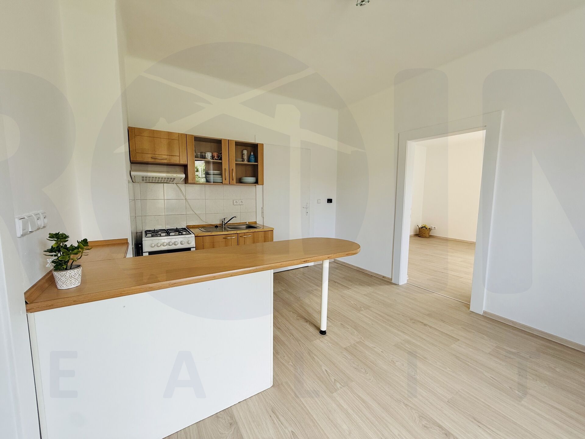 Pronájem slunného bytu 1+1, 65 m2, lodžie, cihlový dům se zahradou, ul. Palackého, Ml. Boleslav