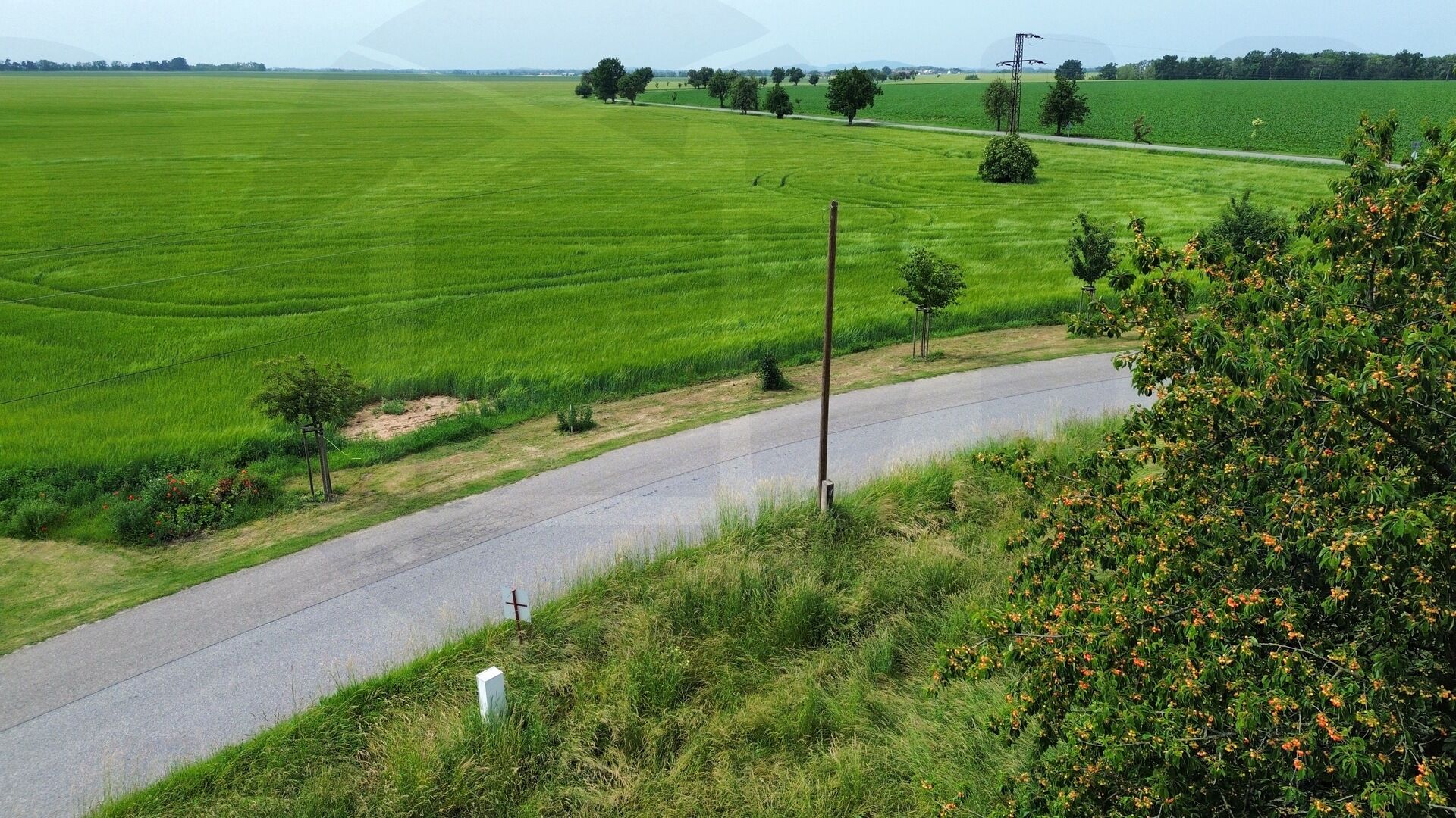 Prodej stavebního pozemku v obci Nemyslovice, 978 m2, 13 km od Ml. Boleslavi