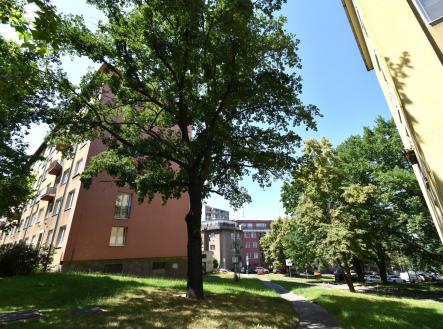 Pronájem bytu, 2+kk, 36 m²