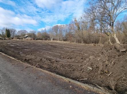 . | Prodej - pozemek pro bydlení, 3 800 m²