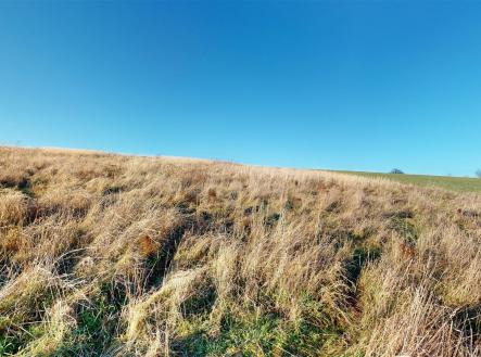 . | Prodej - pozemek, trvalý travní porost, 2 846 m²