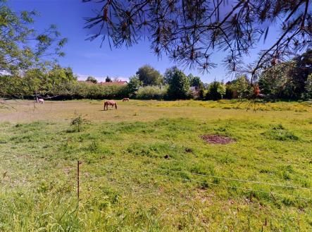 . | Prodej - pozemek pro bydlení, 8 403 m²