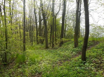 . | Prodej - pozemek, les, 14 492 m²