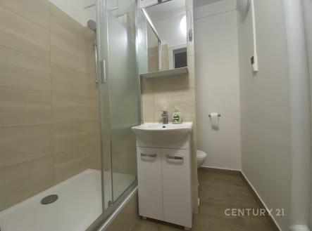 . | Pronájem bytu, 2+1, 45 m²