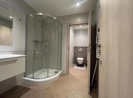 IMG_0235 | Pronájem bytu, 2+kk, 69 m²