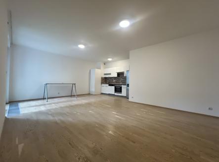IMG_0240 | Pronájem bytu, 2+kk, 69 m²