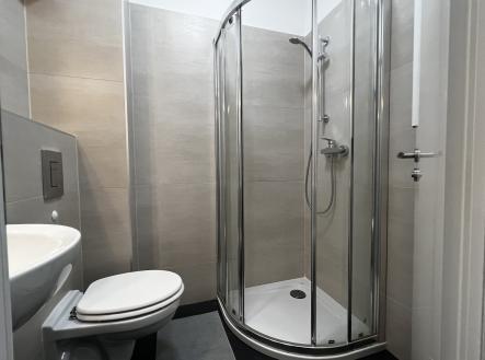 IMG_0252 | Pronájem bytu, 1+kk, 25 m²