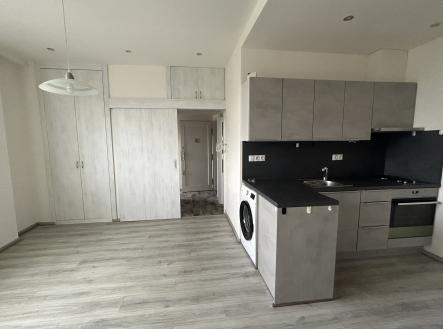IMG_0435 | Pronájem bytu, 2+kk, 47 m²
