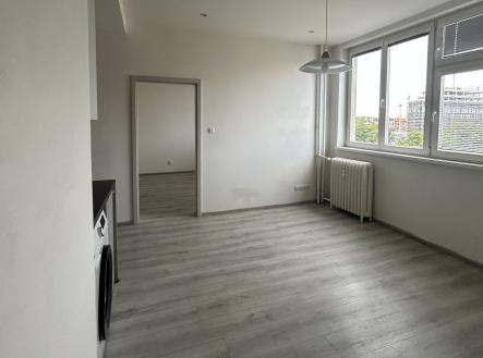 IMG_0444 | Pronájem bytu, 2+kk, 47 m²