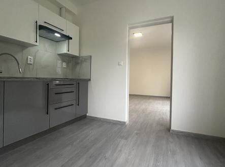 IMG_1811 | Pronájem bytu, 1+1, 35 m²