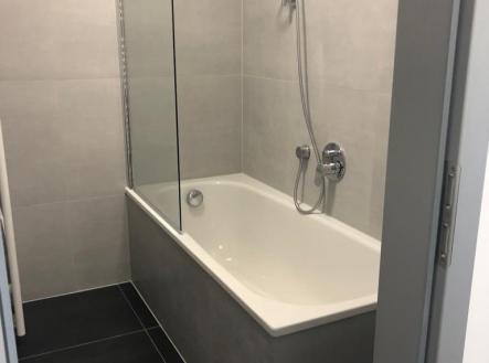 WhatsApp Image 2023-04-11 at 15.22.16 (12) | Pronájem bytu, 2+kk, 55 m²