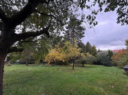 IMG-20251121-WA0041 | Prodej - pozemek pro bydlení, 805 m²