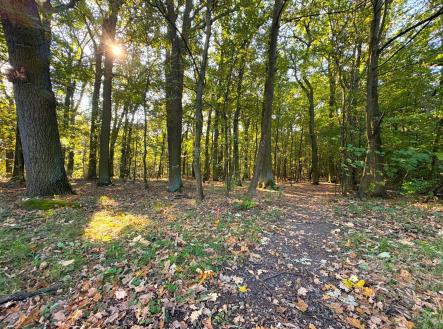 19 | Prodej - pozemek pro bydlení, 875 m²