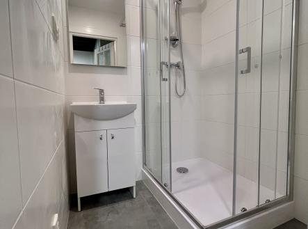 IMG_9493 | Pronájem bytu, 2+1, 67 m²