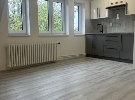 IMG_1799 | Pronájem bytu, 1+kk, 32 m²