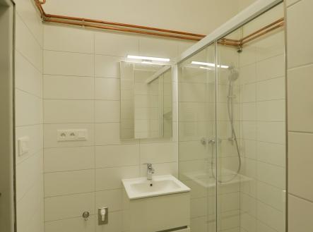 _D4N0930 | Pronájem bytu, 3+1, 53 m²