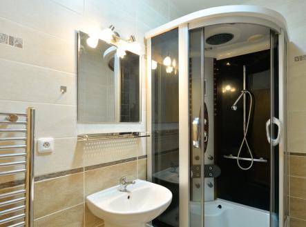 1AFEC24E-AA68-479D-B49D-FD66DB5D2B4A | Pronájem bytu, 1+kk, 30 m²