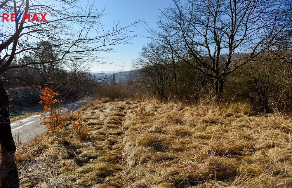 dsc5776-pozemek-letovice-zbonek.jpg