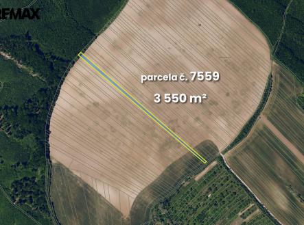 7559.jpg | Prodej - pozemek, zemědělská půda, 5 541 m²