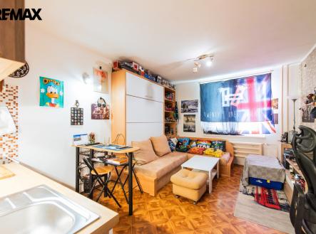 Byt 1kk, 25 m2, Velkopavlovická, Vinohrady, Brno | Prodej bytu, 1+kk, 25 m²