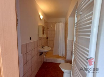 koupelna V.Borek.jpg | Pronájem bytu, 2+kk, 45 m²