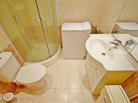 Pronájem bytu, 1+1, 48 m²