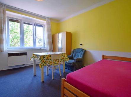 Pronájem bytu, 1+kk, 20 m²
