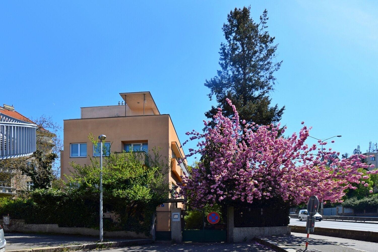 Hezký 1+1 40 m2 po rekonstrukci blízko Nádraží Holešovice, Praha 8