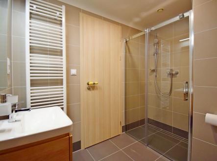 Pronájem bytu, 2+kk, 48 m²