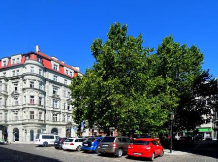 Pronájem bytu, 1+1, 37 m² obrázek