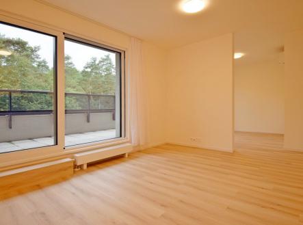 Pronájem bytu, 2+kk, 54 m²