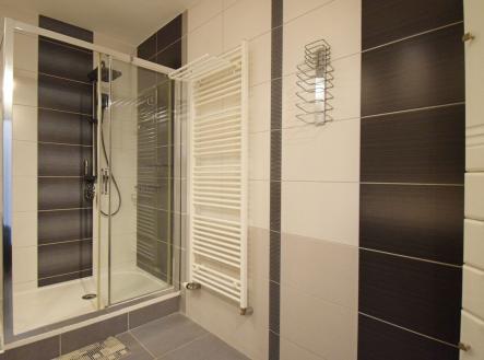 Pronájem - dům/vila, 380 m²