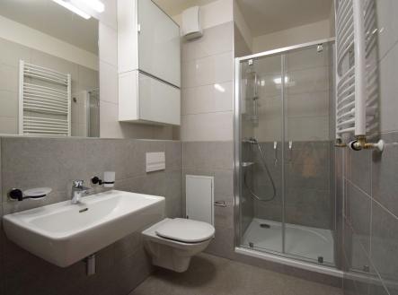 Pronájem bytu, 1+kk, 36 m²