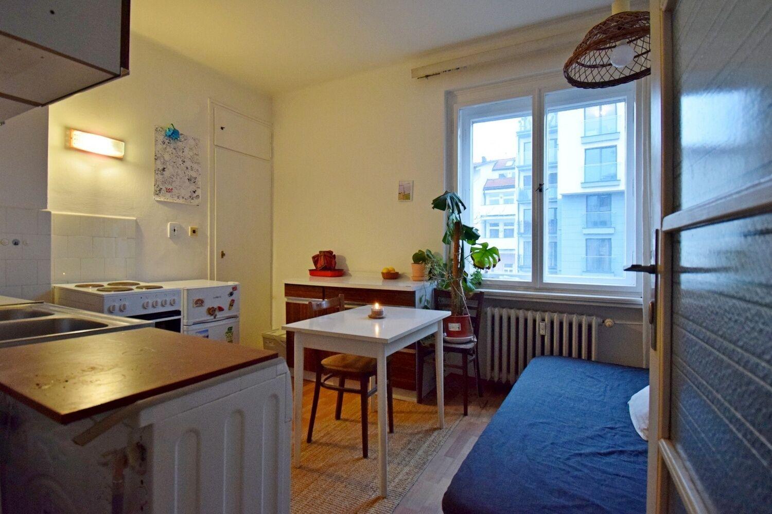 Útulný 1+1 38 m2, Praha 2 Vinohrady