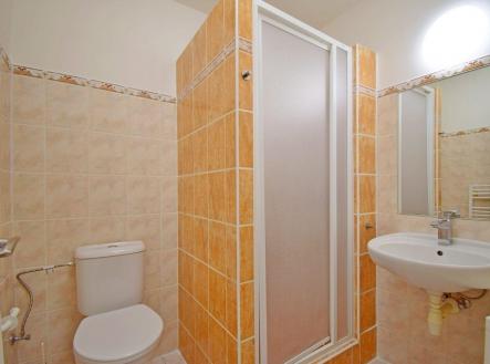 Pronájem bytu, 1+1, 47 m²