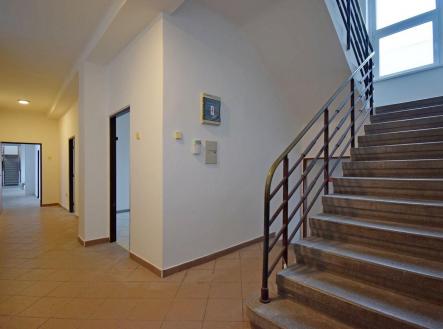 Pronájem - hotel, 626 m²