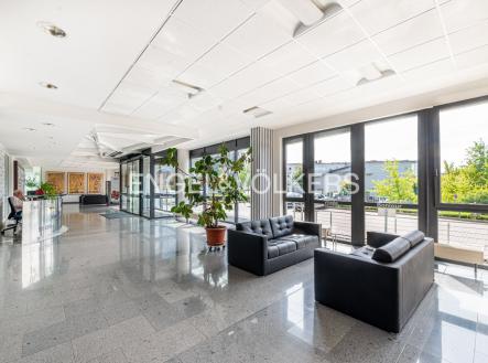 Pronájem - kanceláře, 540 m²