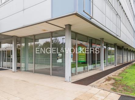 P1133986_web | Pronájem - obchodní prostor, 35 m²