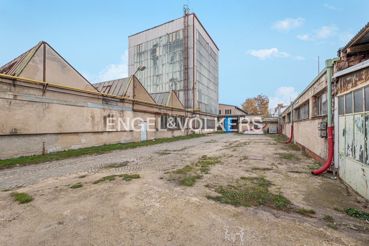 P1144820_web (1)
